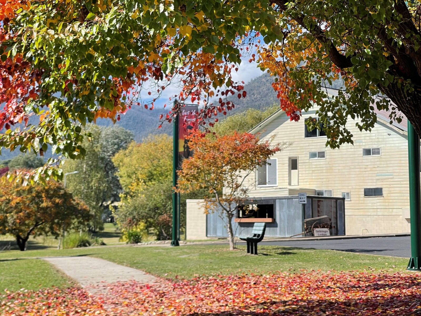 Outside view of Talbingo Lodge surrounded by Autumn leaves.