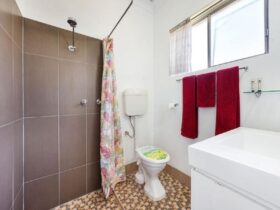 Photo of bathroom showing easy access to the shower and toilet