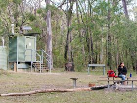 A visitor sits at a picnic table at Ten Mile Hollow campground in Dharug National Park. Photo: Nick