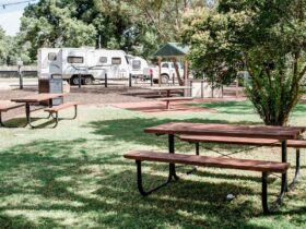 Caravan parked with grass and tables around the area