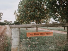 Welcome to The Red Hill Nest