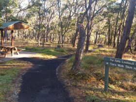 A picnic shelter among trees with a sign to Tia Falls lookout at Tia Falls campground, Oxley Wild