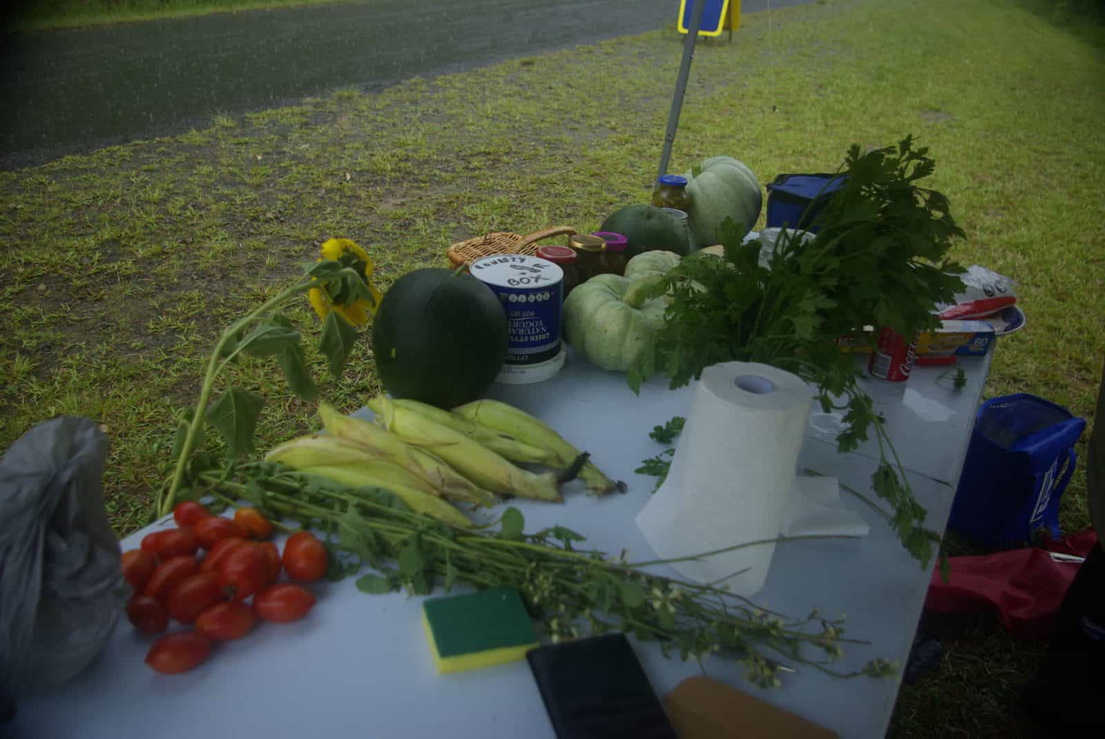 Tirrintippin organic vegetables and fruits