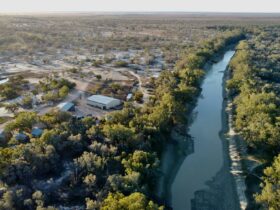 Darling River outback NSW campsites at Trilby Station