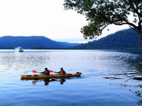 Hawkesbury River scene of 2 kayakers in a double kayak, with a river boat in the distance. Photo: