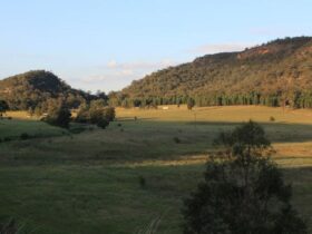 Valley View Farm, located on a magnificent ridge line in the upper Hunter Valley, 35km from Denman.