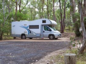 Campervan parked at Wollomombi Campground, Oxley Wild Rivers National Park. Photo: Rob Cleary/DPIE