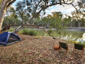 A tent and 2 campchairs overlook the river at Woolpress bend campground, Yanga National Park. Photo: