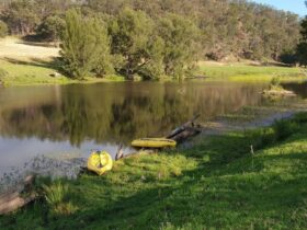 Looking back from Possum Hollow campsite to the causeway, morning time. Our kayaks in the river ready to go.