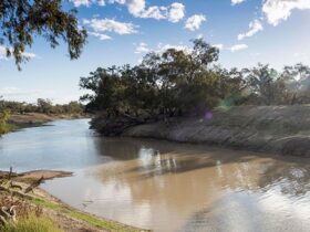 The Darling River at Yanda campground in Gundabooka State Conservation Area. Photo: Leah Pippos