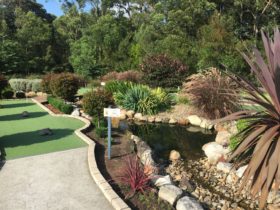 Husky Mini Golf, Huskisson NSW