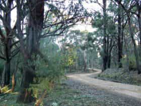 4WD Oberon Colong historic stock route. Photo: D Campbell