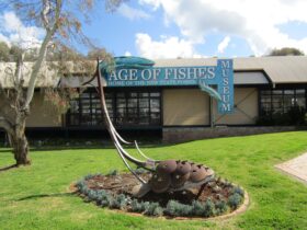 Grassy area with metal sculpture outside the Age of Fishes Museum building