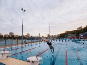 People swimming laps at Andrew Boy Charlton Pool in Sydney