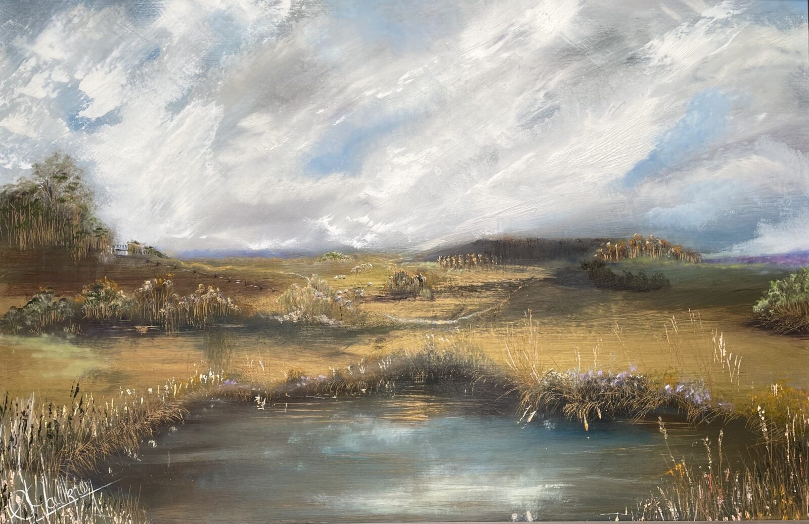 Oil on canvas awarded Highly Commended Murrurundi Art Prize