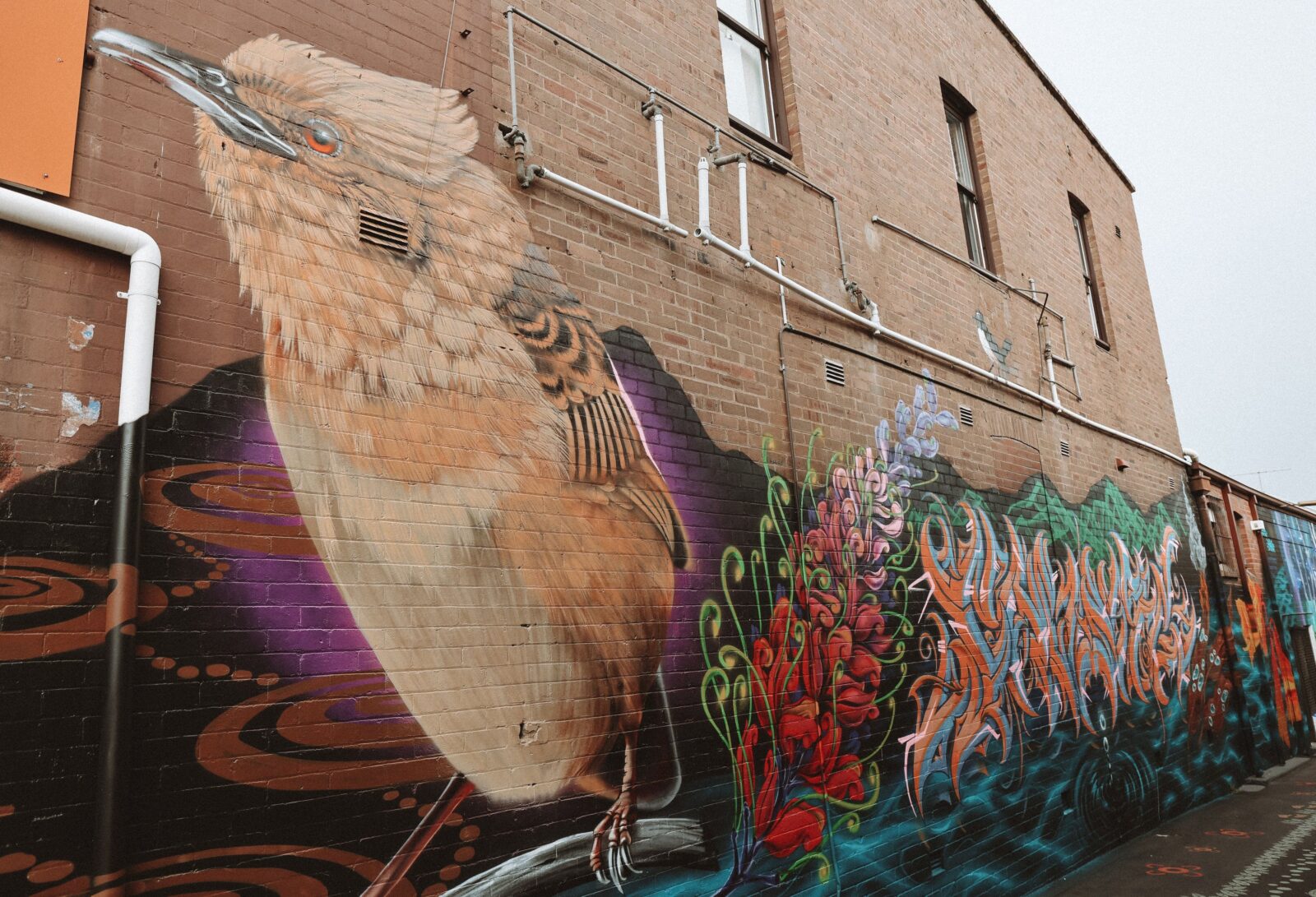 Visit the Macleay Valley Art Trail Ash Johnston Golden-headed Cisticola Mural