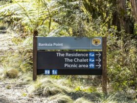 A directional sign at Banksia Point, New England National Park. Photo: Mitchell Franzi © DPIE
