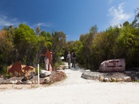 Two people walking through The Basin Aboriginal art site in Ku-ring-gai Chase National Park. Photo: