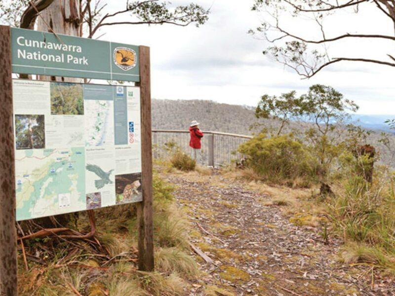 Beech Lookout, Cunnawarra National Park. Photo: Rob Cleary © OEH