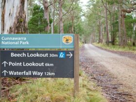 Beech Lookout, Cunnawarra National Park. Photo: Rob Cleary © OEH