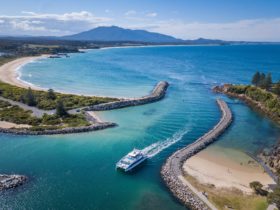 Bermagui Harbour, fishing, whale watching, charters, Sapphire Coast