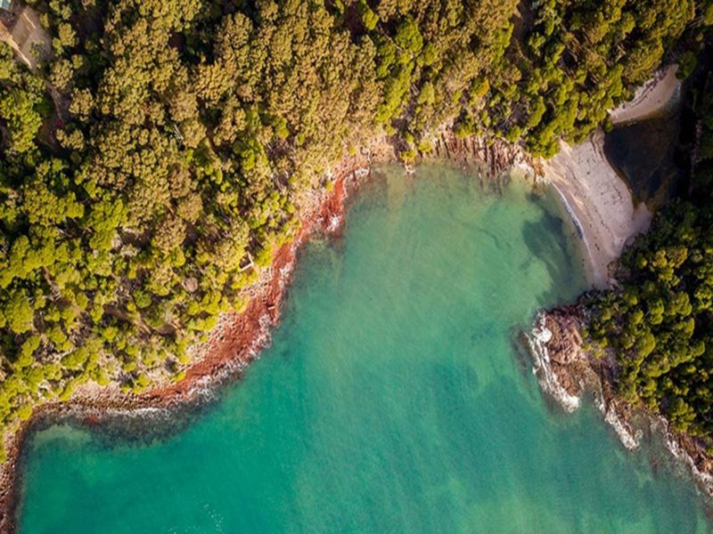 Aerial view of Bittangabee Bay. Photo: John Spencer/OEH
