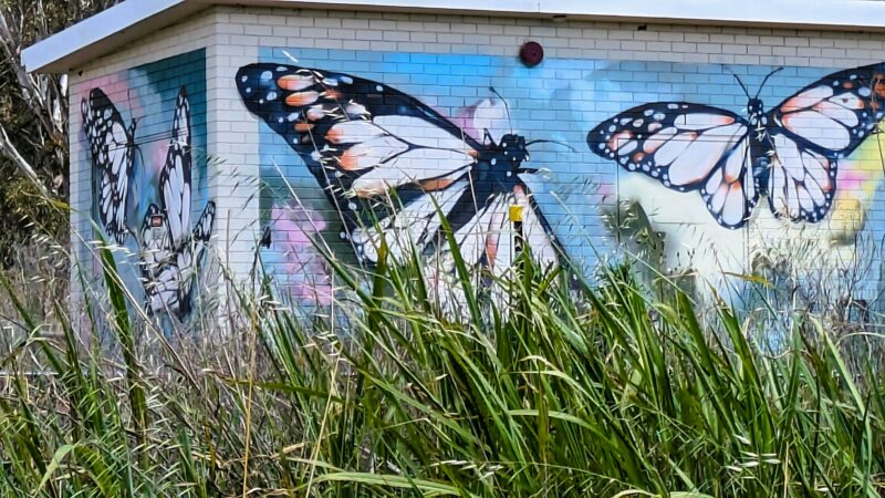Mural of butterflies at Blandford Signal Station by Jack Wachtel - Binary Creative