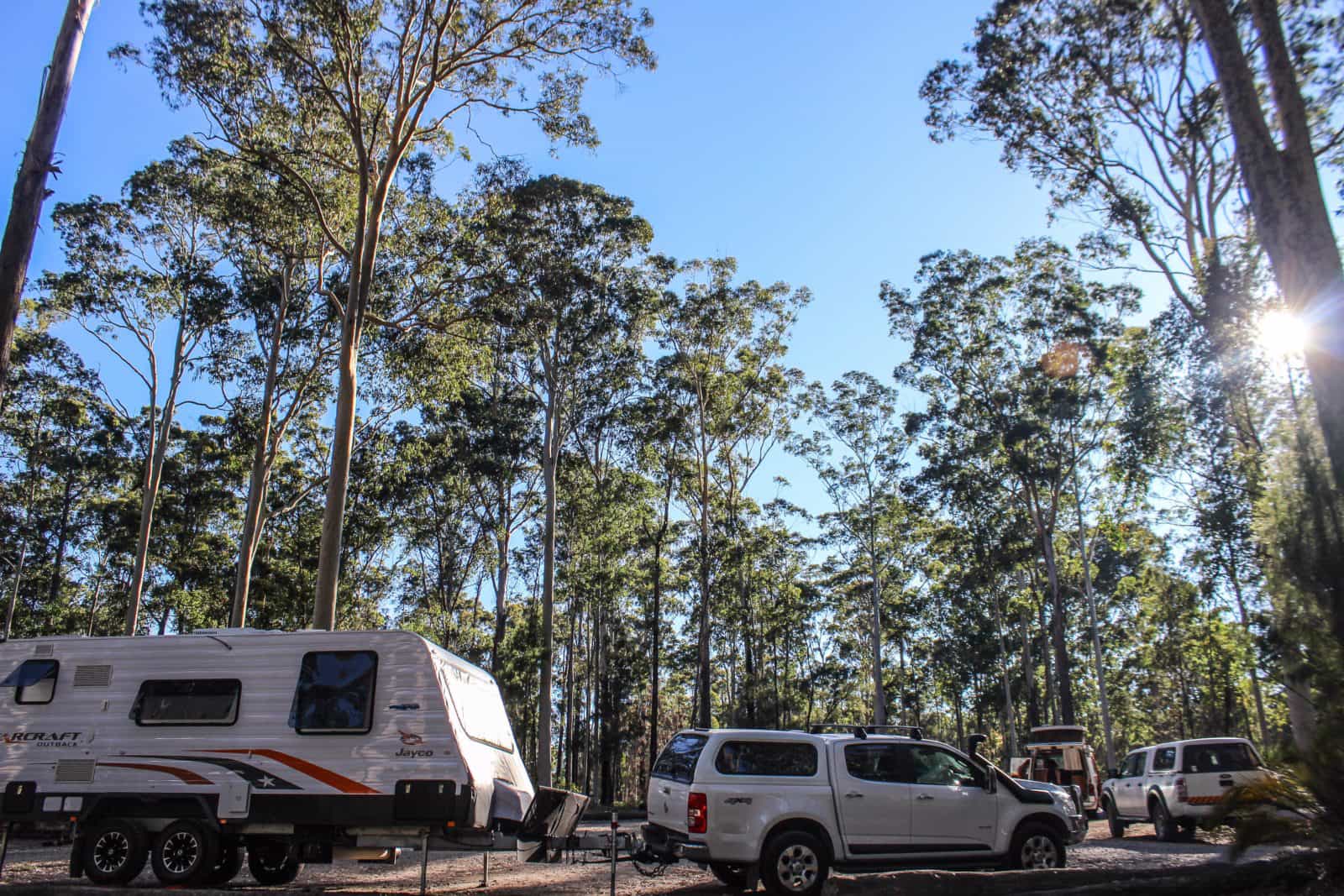 Bodalla State Forests can accommodate caravans and campervans
