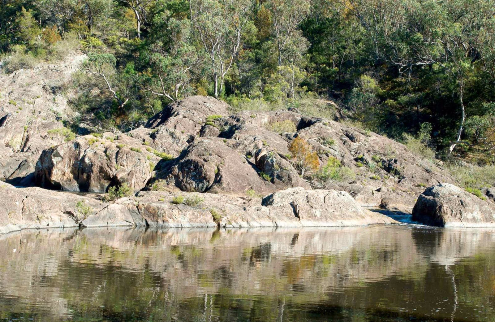 Boonoo Boonoo Falls, Boonoo Boonoo National Park. Photo: DECC/NSW Government