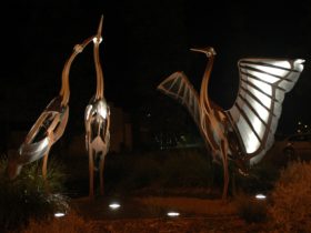 A large metal sculpture of three brolgas, one with wings stretched, taken at night.