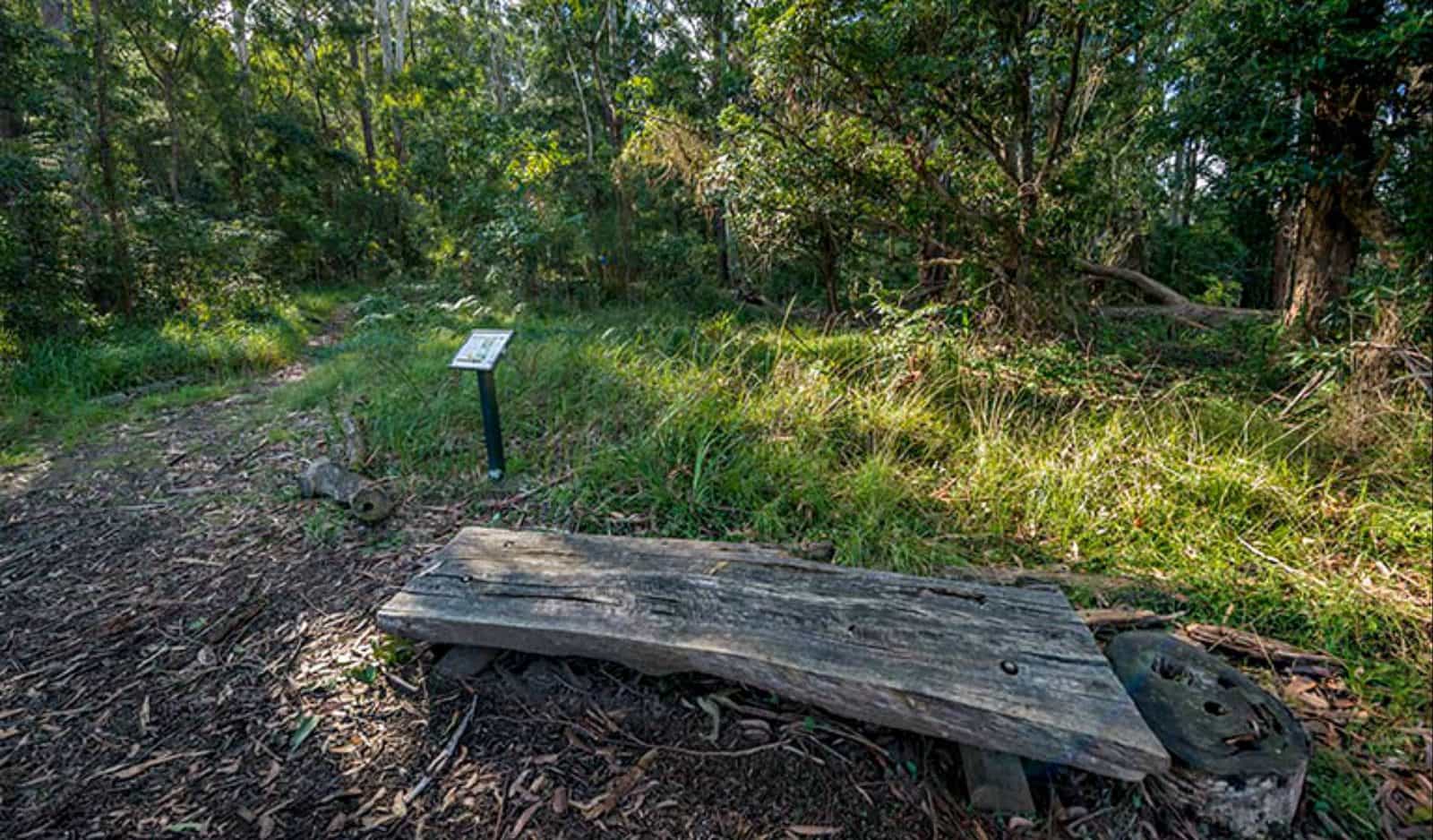 Browns Forest loop trail, Dalrymple-Hay Nature Reserve. Photo: John Spencer