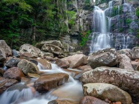Water rushes over rocks below Minnamurra Falls in Budderoo National Park. Photo credit: John Spencer