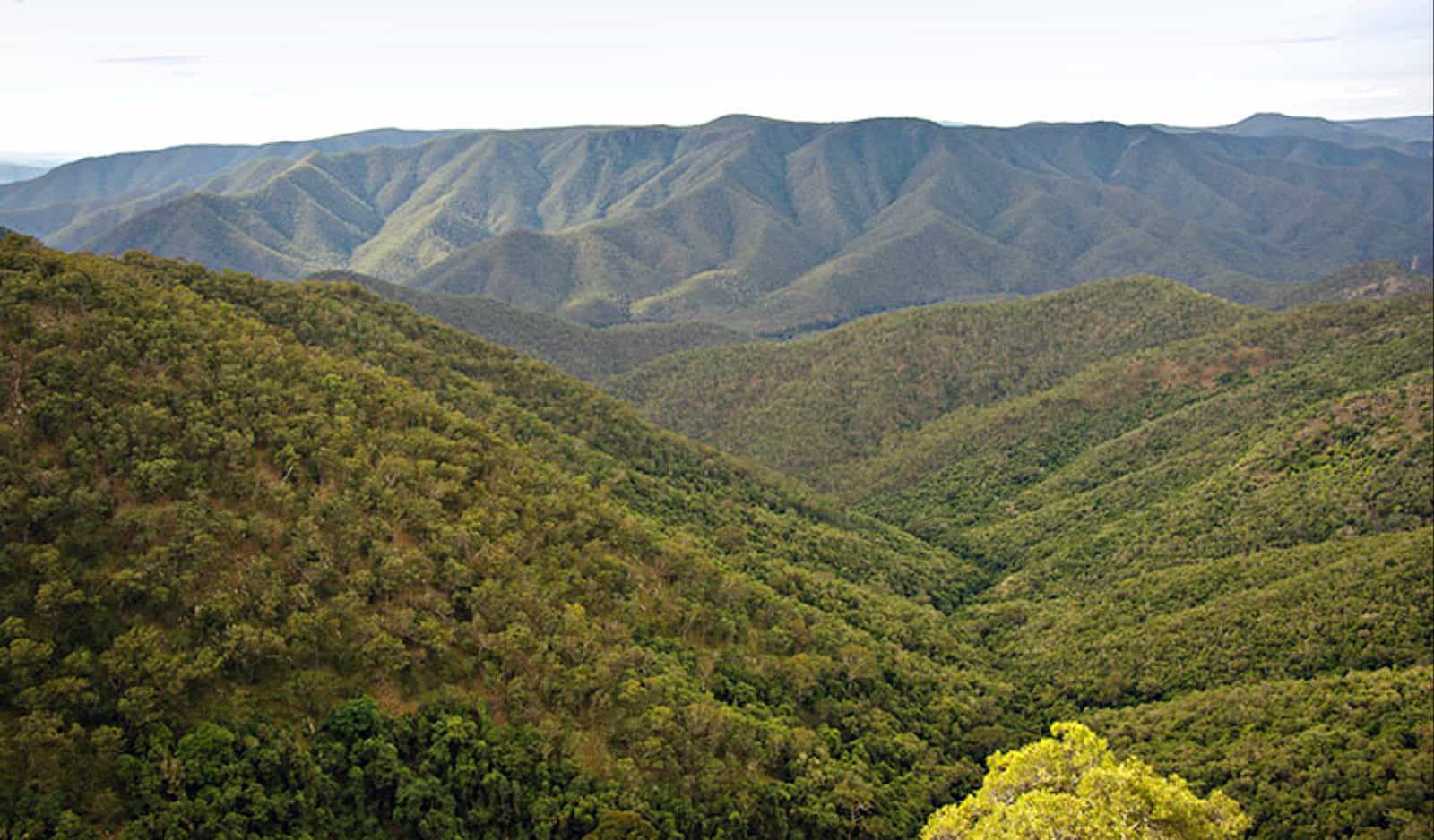 Oxley Wild Rivers National Parks. Photo: Rob Cleary/NSW Government