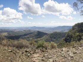The panoramic view from Bundella lookout in Coolah Tops National Park. Photo: Leah Pippos ©