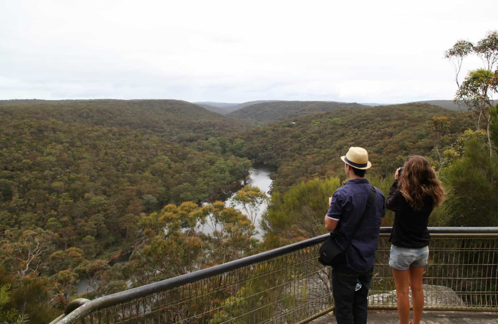 Bungoona path, Royal National Park. Photo: Andy Richards/NSW Government