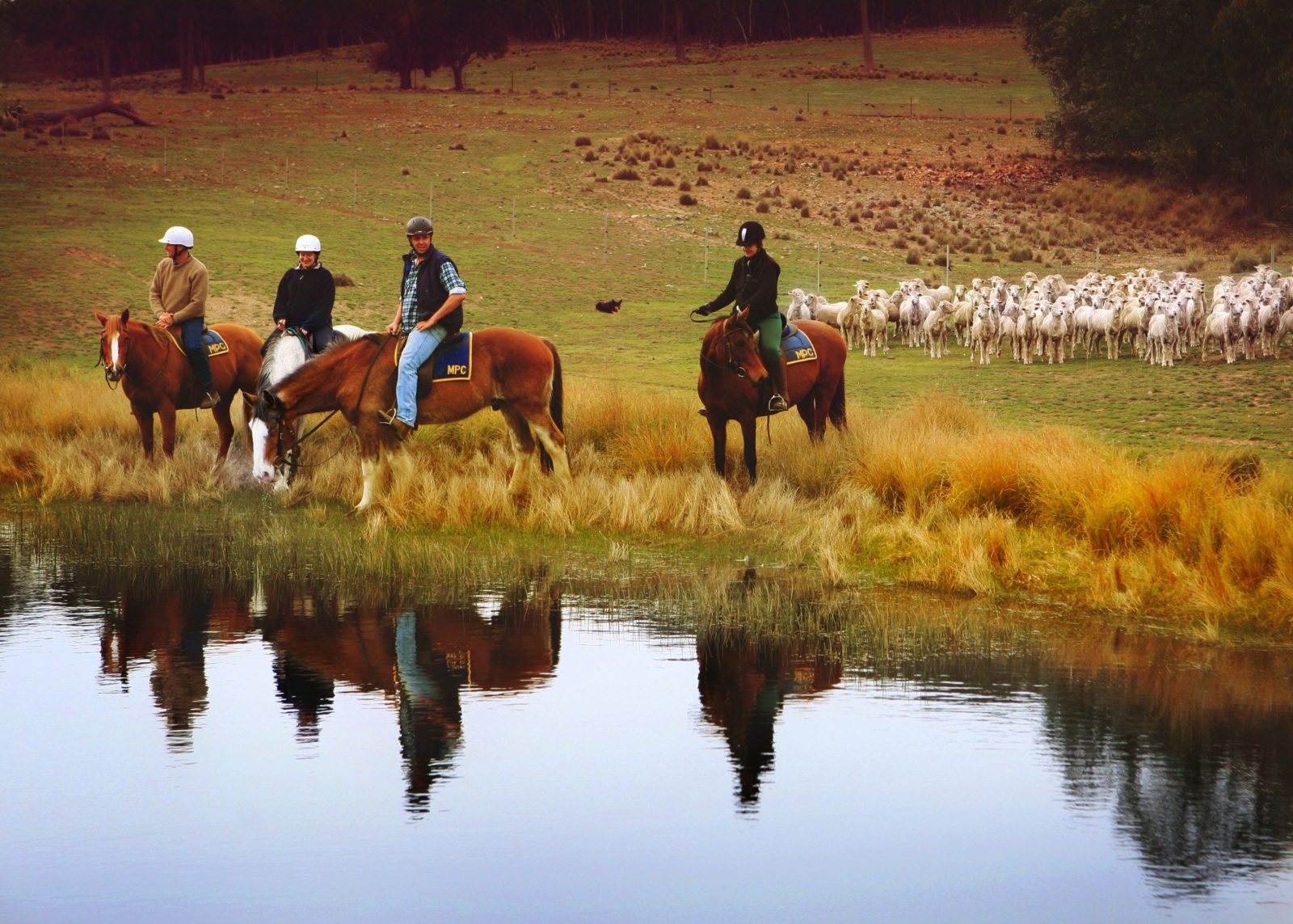 Burnelee Excursions on Horseback
