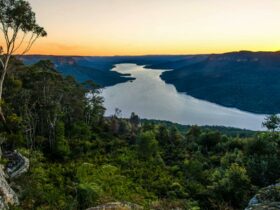 Lake Burragorang in Greater Blue Mountains World Heritage Area. Photo: John Spencer © DPIE