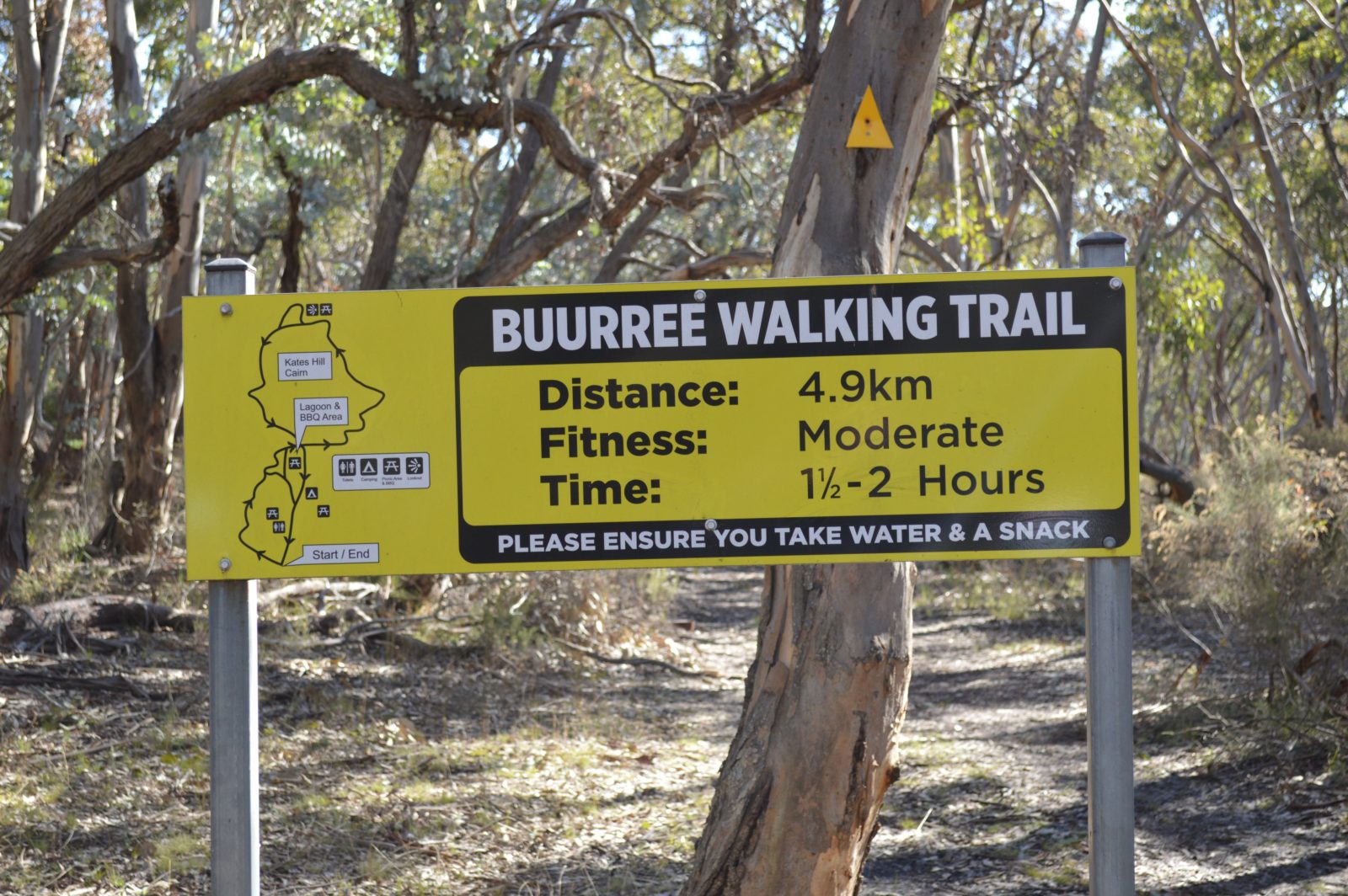 Bush Walking, Bathurst, Wattle Falt