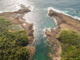 Aerial of Bushrangers Bay, Bass Point in Shellharbour