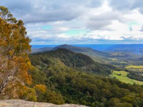 View from Red Rocks trig walking track, Cambewarra Range Nature Reserve. Photo: J Devereaux/OEH