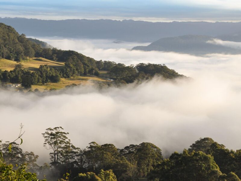 Morning Fog, Cambewarra Range Nature Reserve. Photo: J Devereaux/OEH