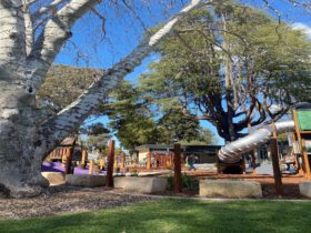 Cameron Park Playground Wellington