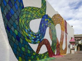 picture of street art in Campbelltown - three mobs by Jason Wing