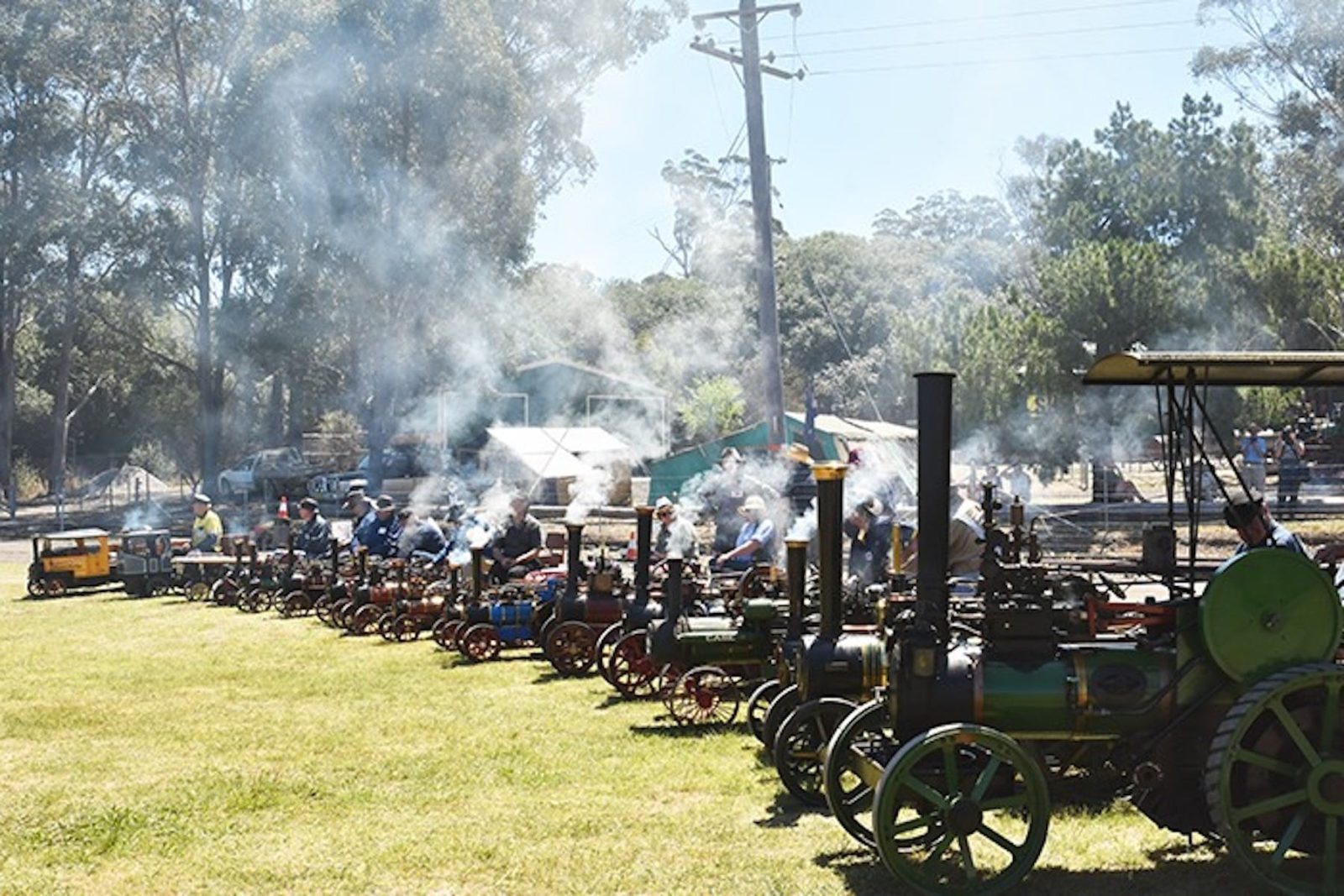 Multiple steam traction engines lined up
