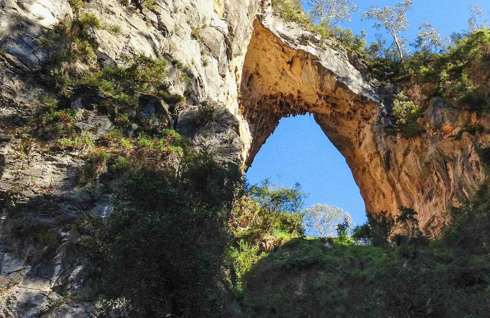 Carlotta Arch walking track, Jenolan Karst Conservation Reserve. Photo: Jenolan Caves Trust