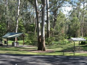 A picnic and barbecue shelter surrounded by trees with carpark in the foreground at Carter Creek