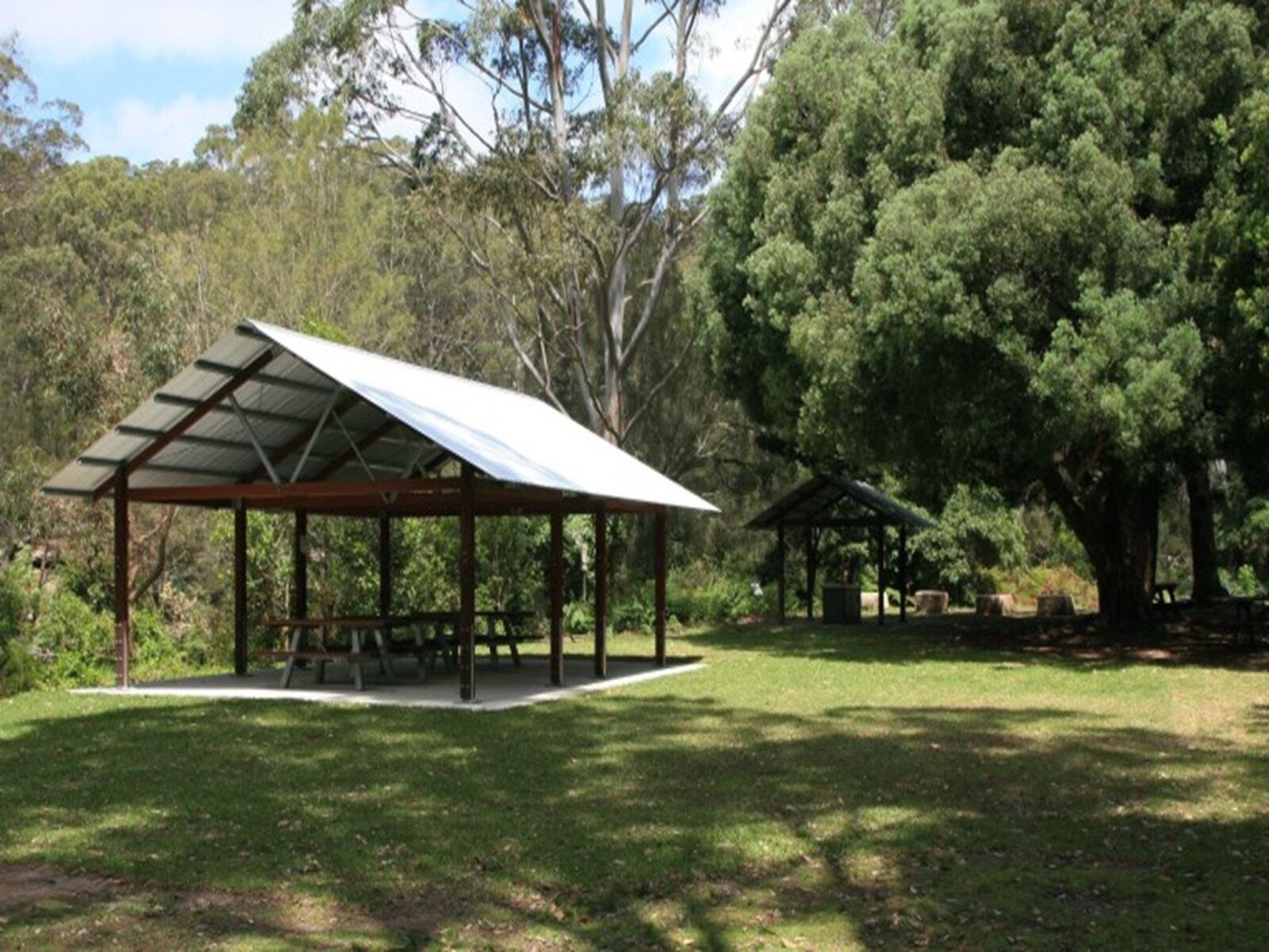 A large picnic shelter next to trees at Casuarina Point picnic area in Lane Cove National Park.
