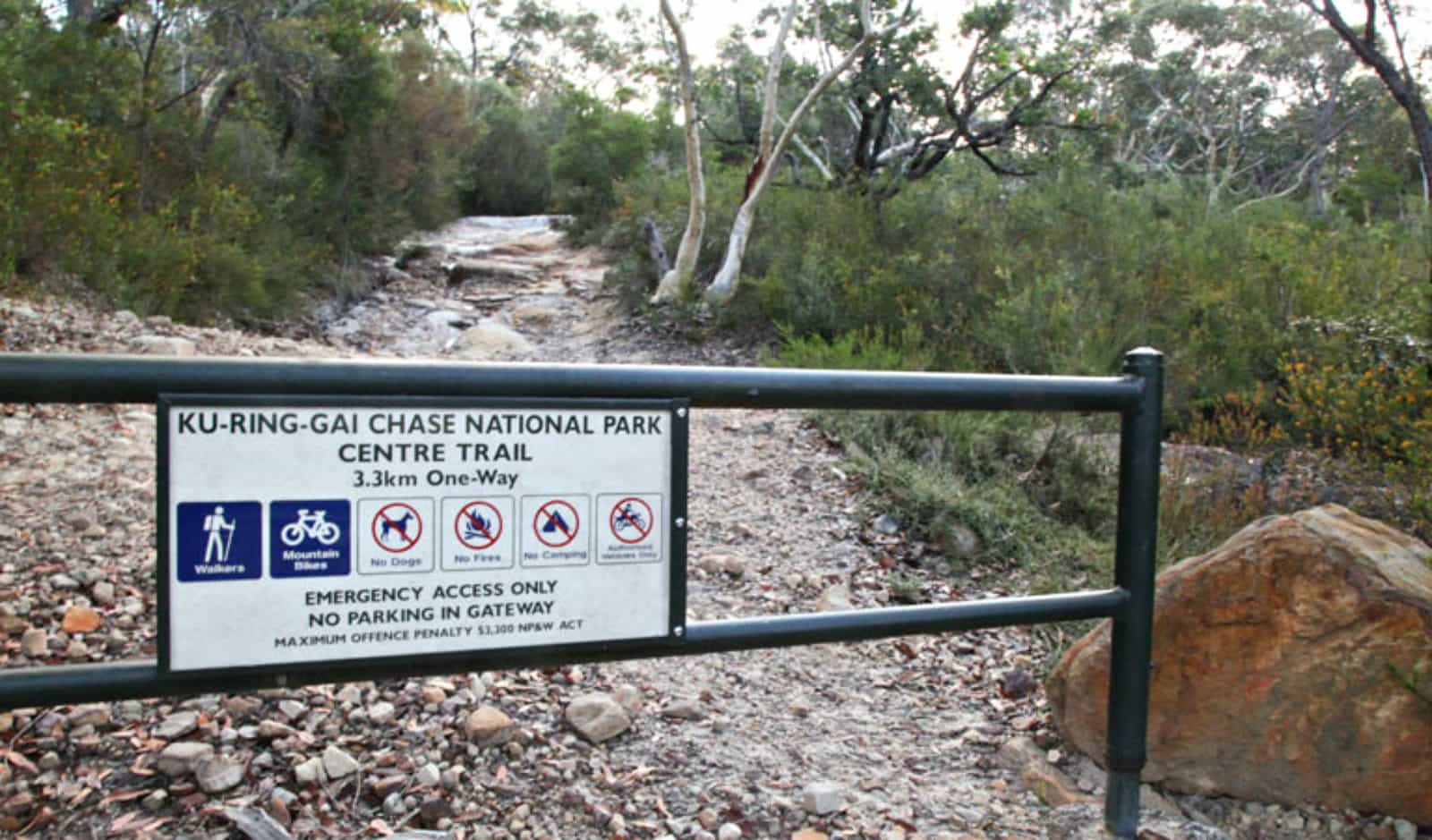 Centre trail, Ku-ring-gai Chase National Park. Photo: Andy Richards/NSW Government