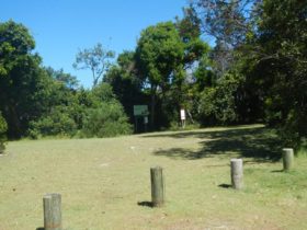 Cheesetree picnic area, Crowdy Bay National Park. Photo: Debby McGerty © OEH