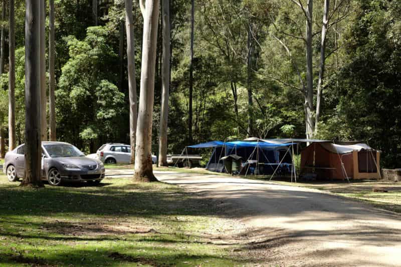 Camping in Telegherry River area of Chichester State forest